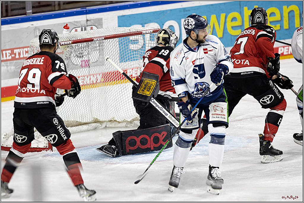 PENNY DEL;  Koelner Haie - Straubing Tigers; Koeln, 15.10.2021